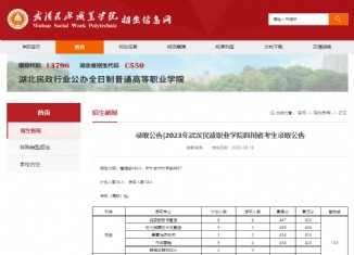 2023年武汉民政职业学院艺术类录取分数线